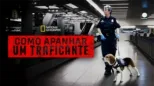 thumbnail - Como Apanhar um Traficante