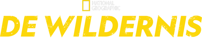 Running Wild with Bear Grylls