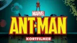 thumbnail - Ant-Man (Kortfilmer)