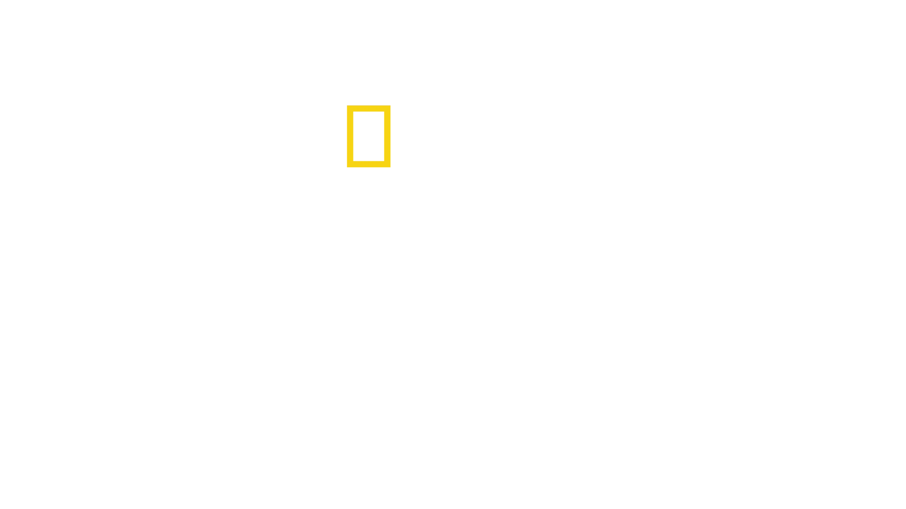 Afrika'nın Ölümcül Avcıları