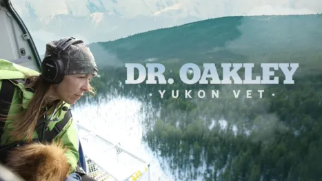 thumbnail - Dr. Oakley, Yukon Vet