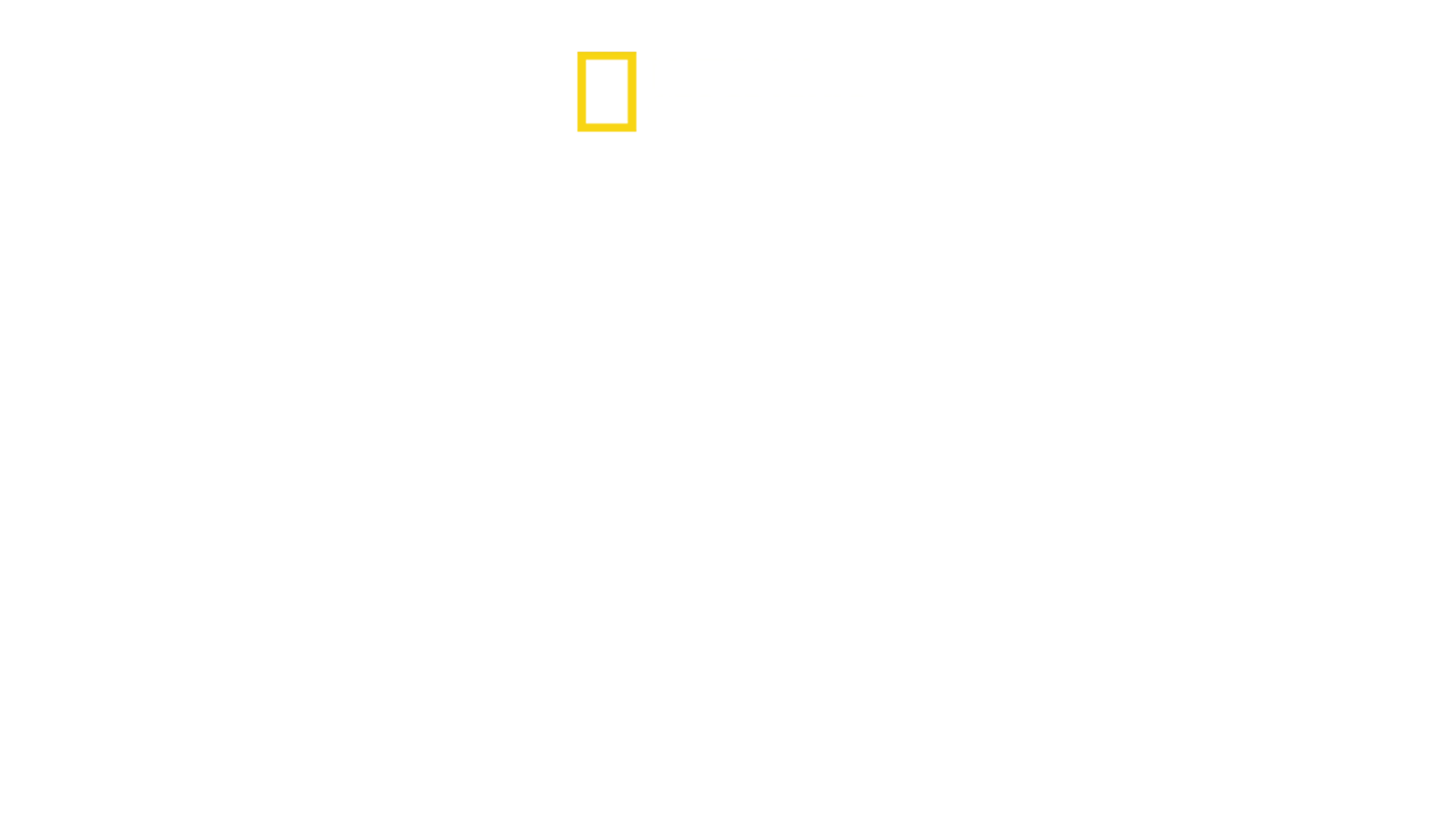Ağaçtaki Aslanlar