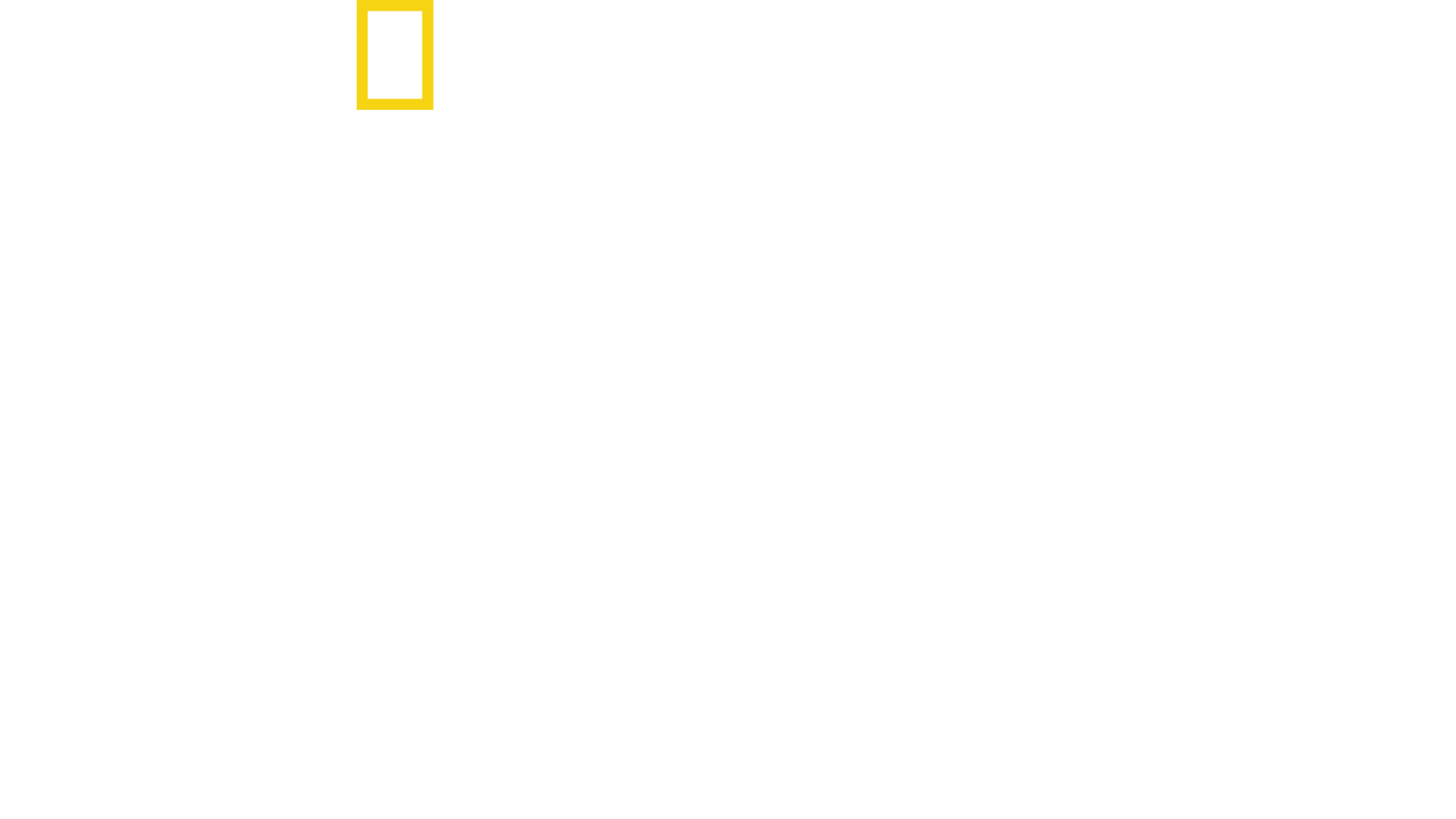 D-Day：知られざる英雄たち