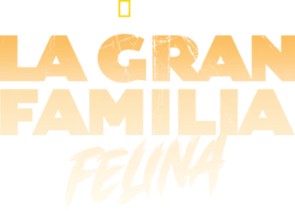 Los Grandes Juegos Felinos
