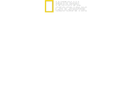 Deep Blue: la regina degli squali