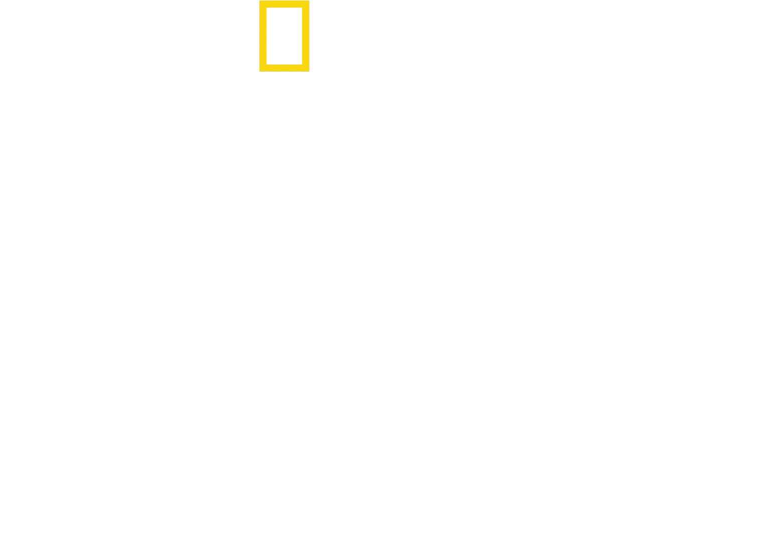 Deep Blue: la regina degli squali