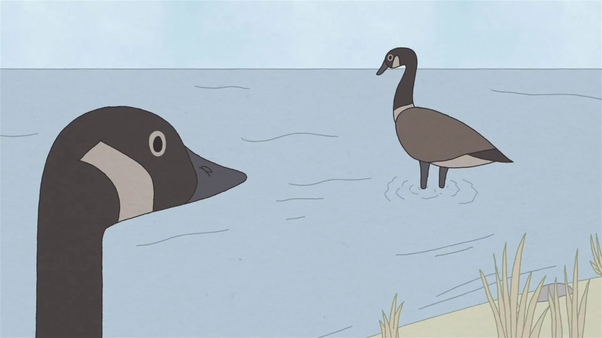 thumbnail - S1:E1 Hudson Geese