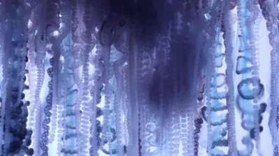 thumbnail - S1:E8 Alien