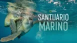 thumbnail - Santuario Marino
