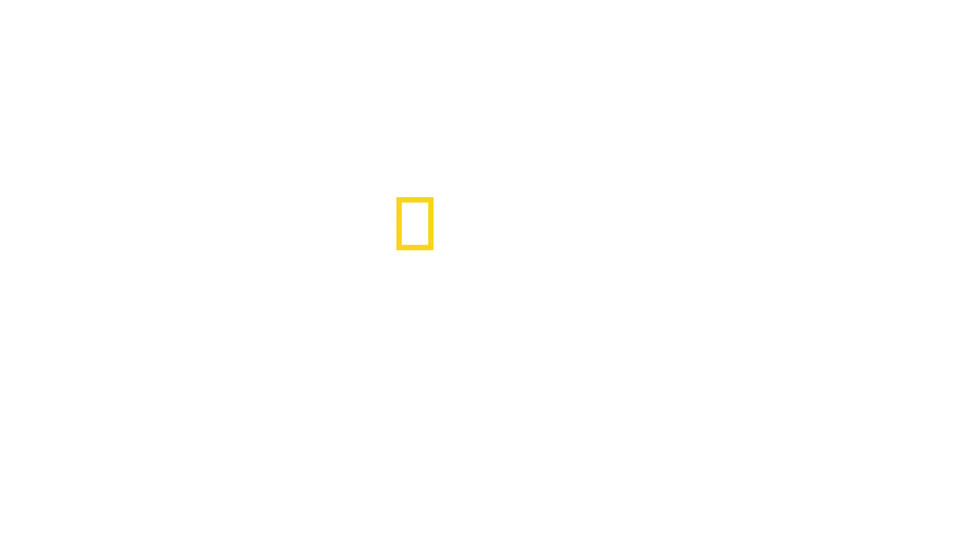 Haverikommissionen