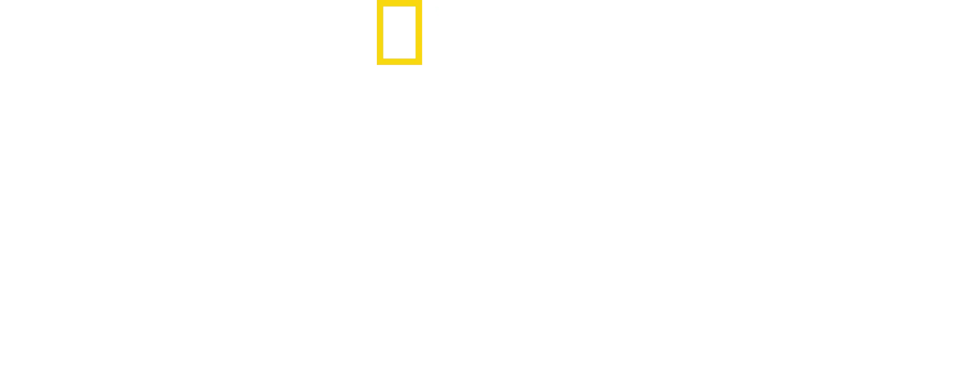 Fillerin Gizemli Dünyası