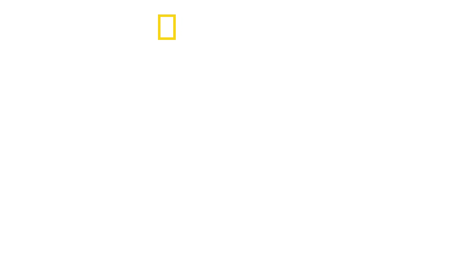 Planet XXL