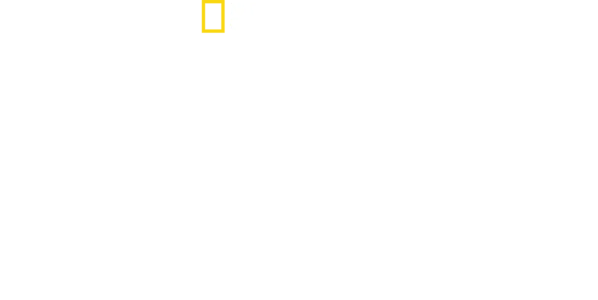 Planet XXL