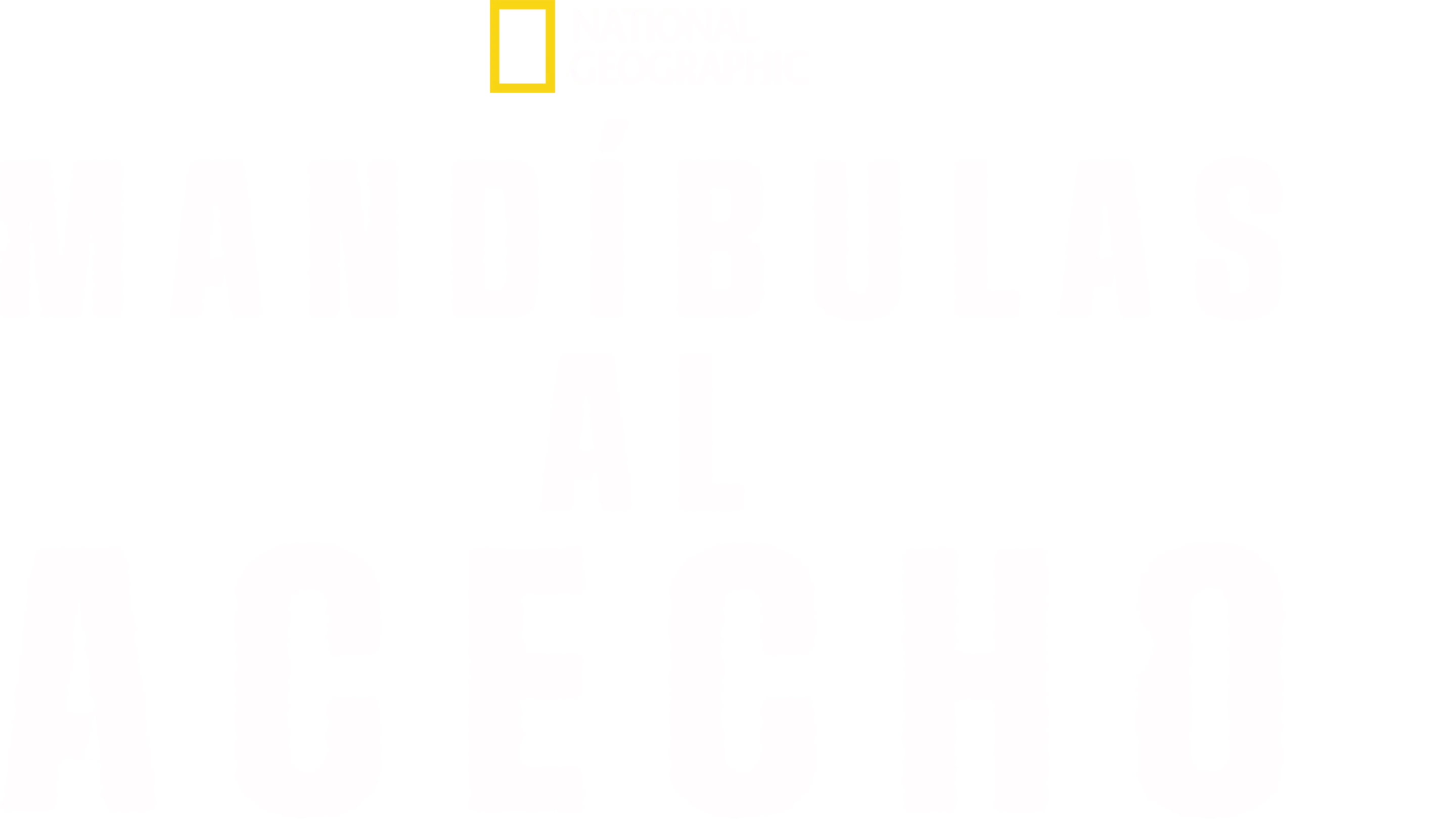 Mandíbulas al acecho
