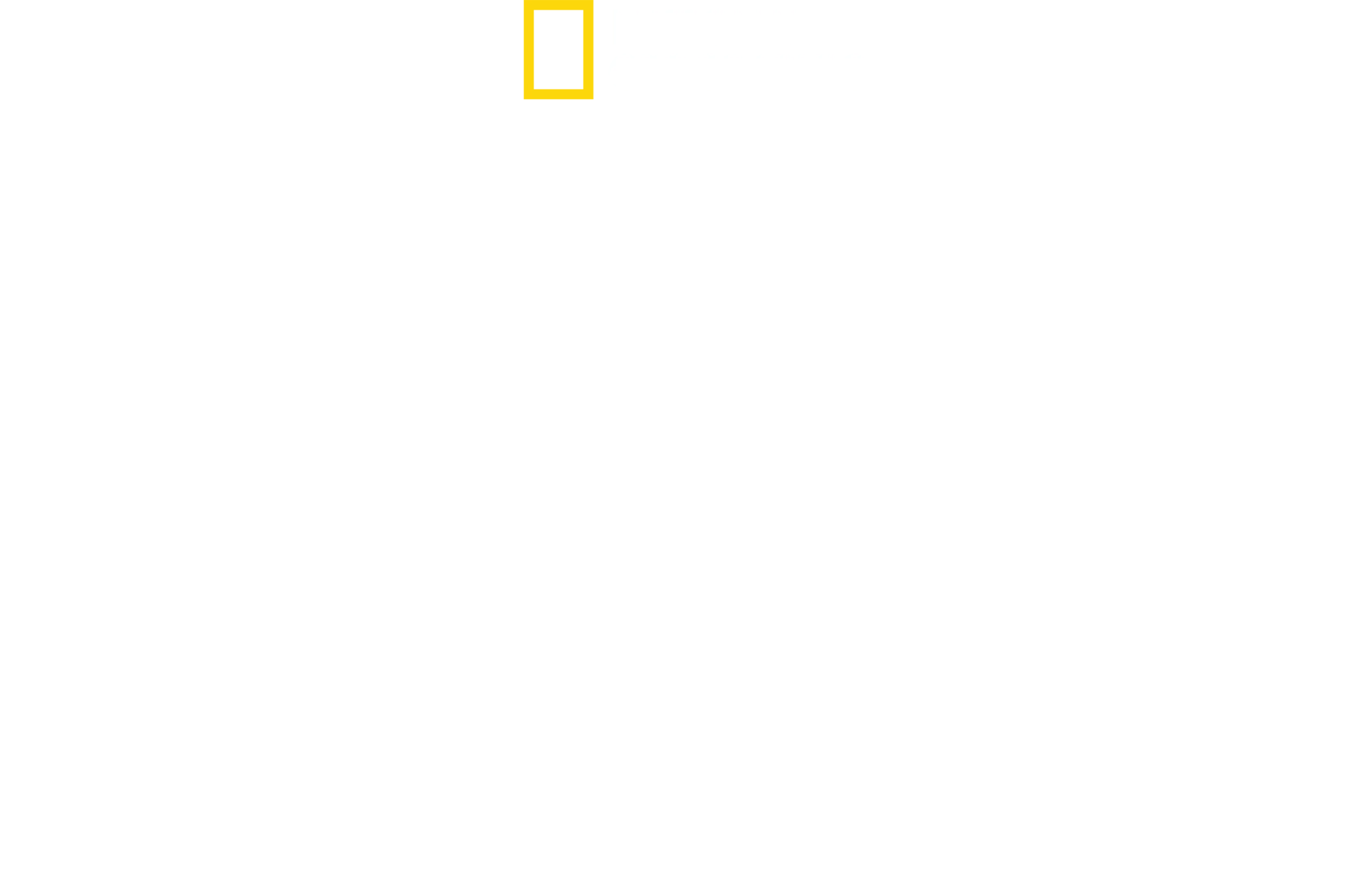 Mandíbulas al acecho