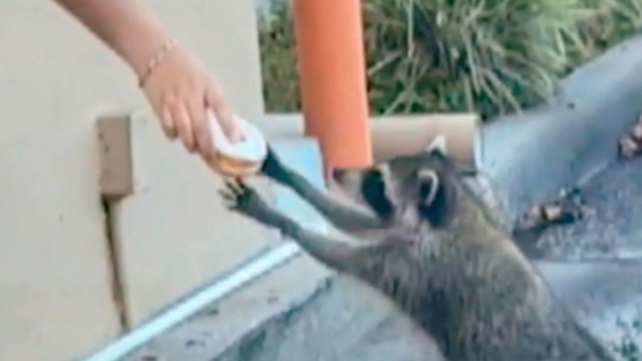 thumbnail - S2:E19 Service Without a Smile