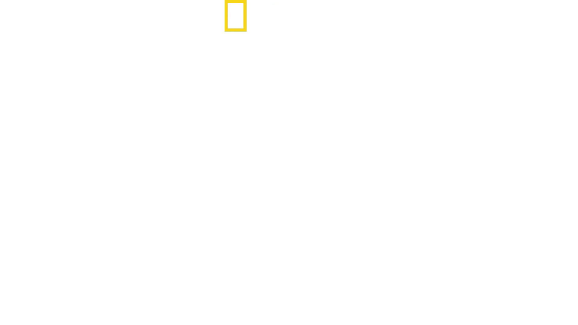 South America's Weirdest Animals