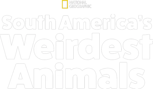 South America's Weirdest Animals