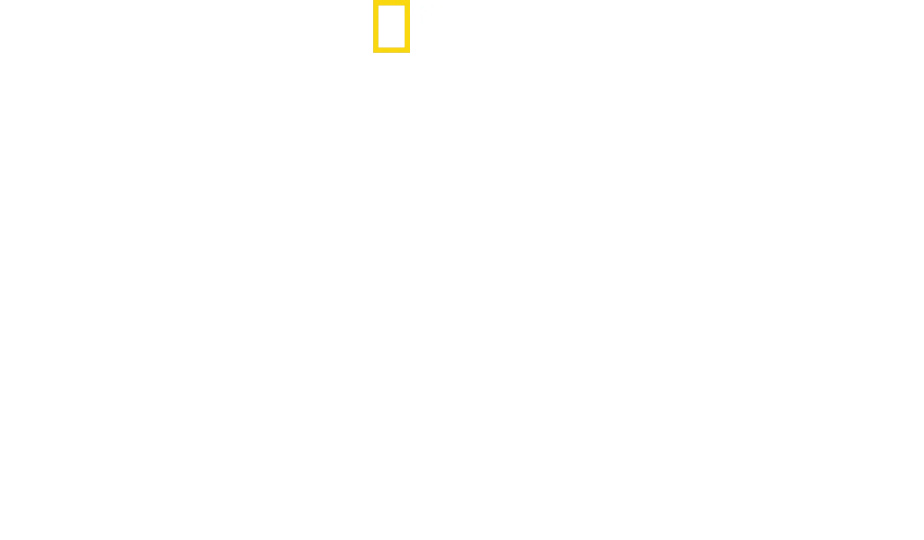 South America's Weirdest Animals