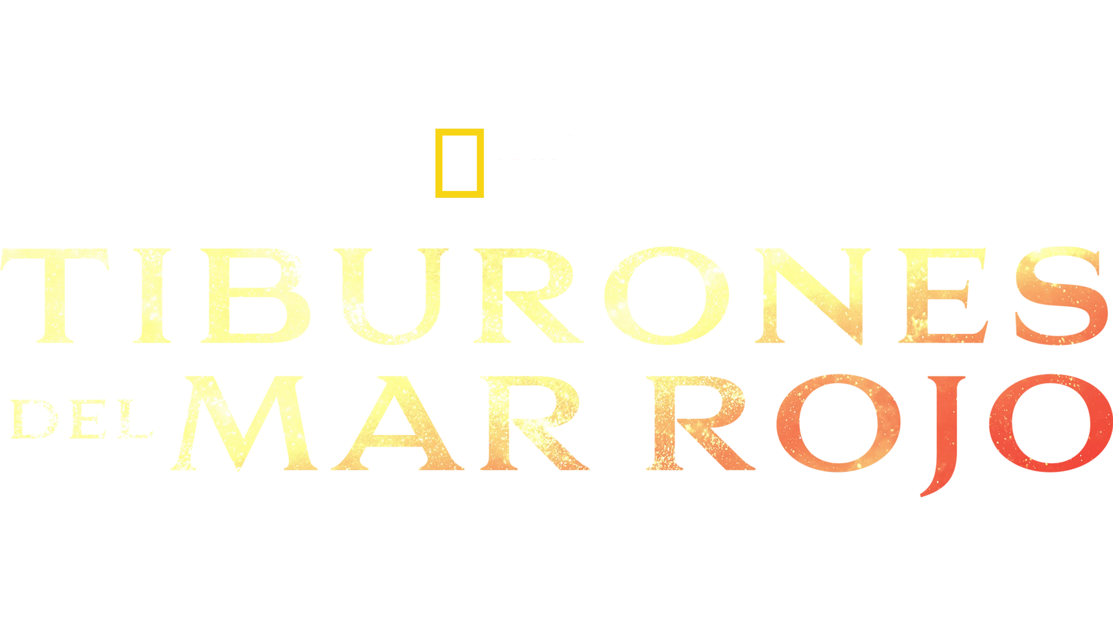 Los tiburones del mar Rojo