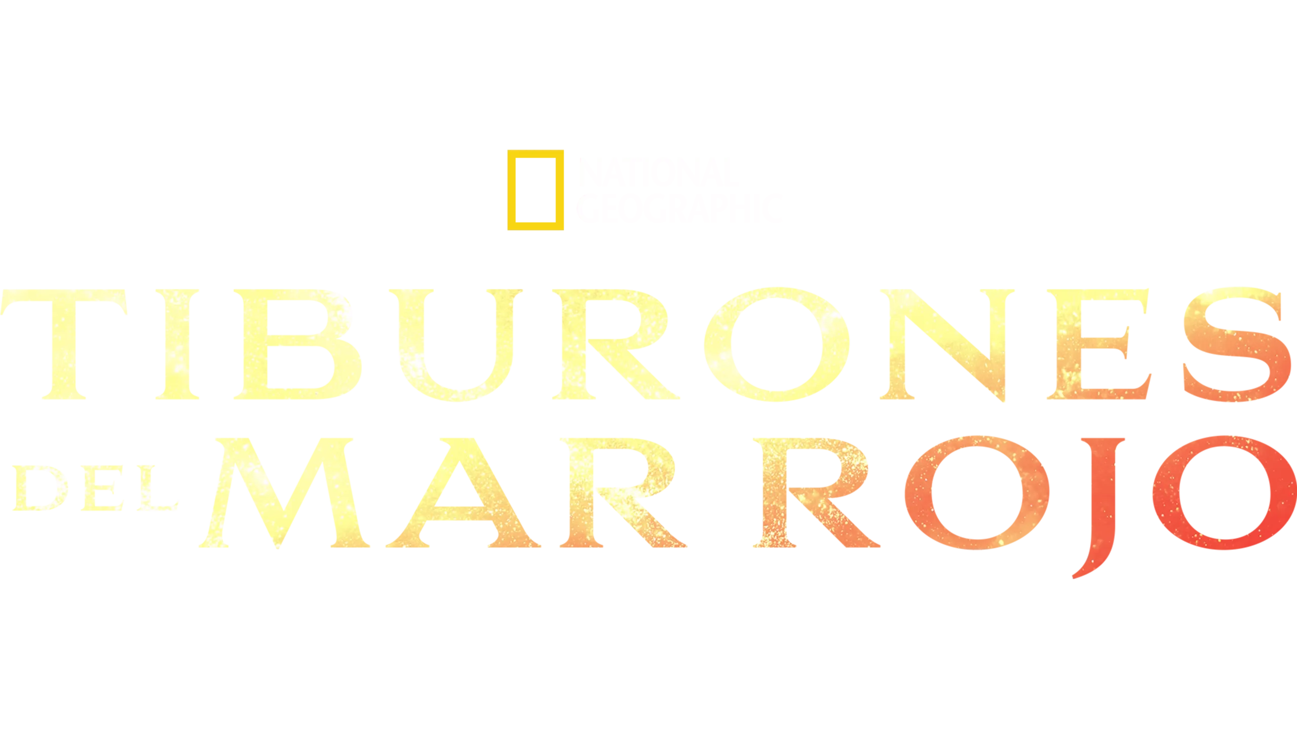 Los tiburones del mar Rojo