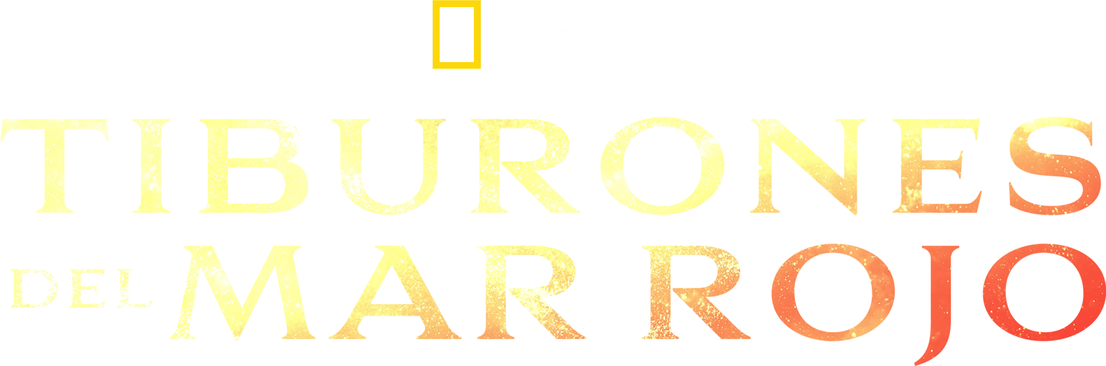 Los tiburones del mar Rojo