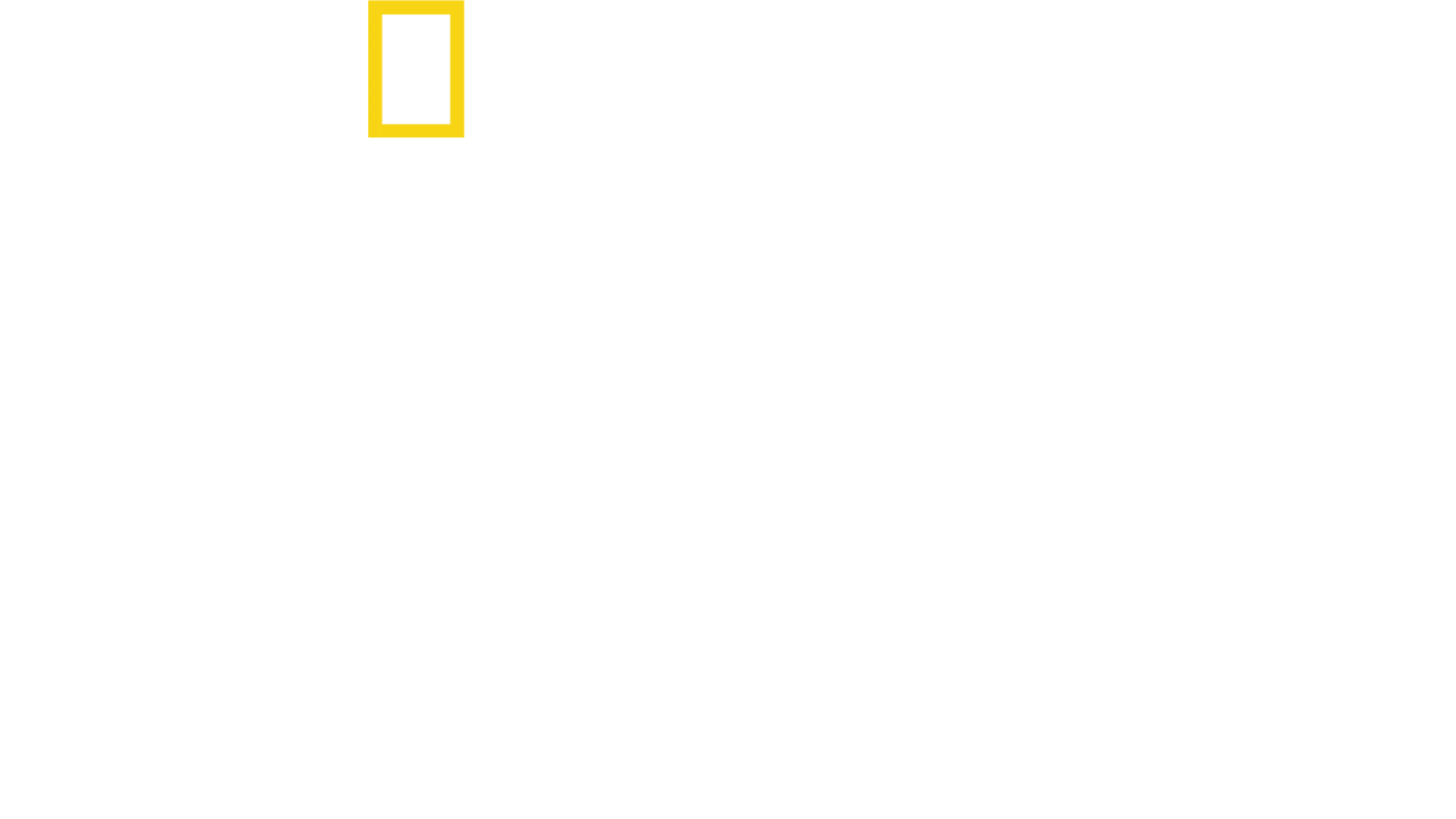 Ataque de tiburones
