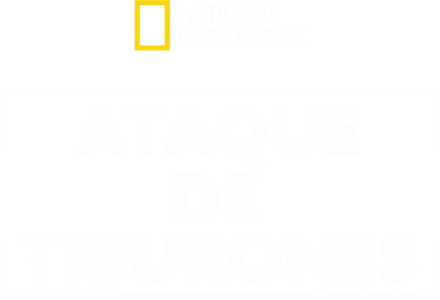 Ataque de tiburones