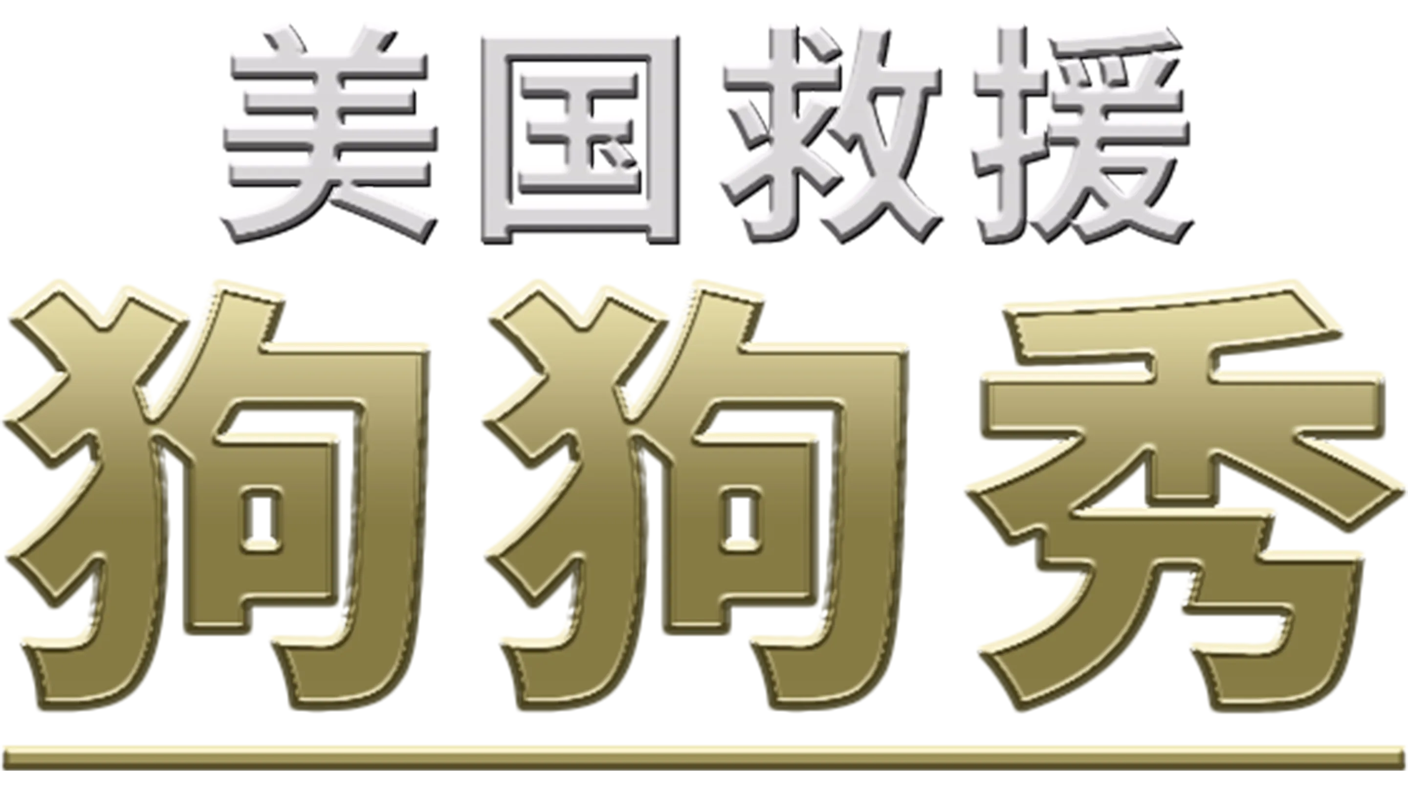 美国救援狗狗秀