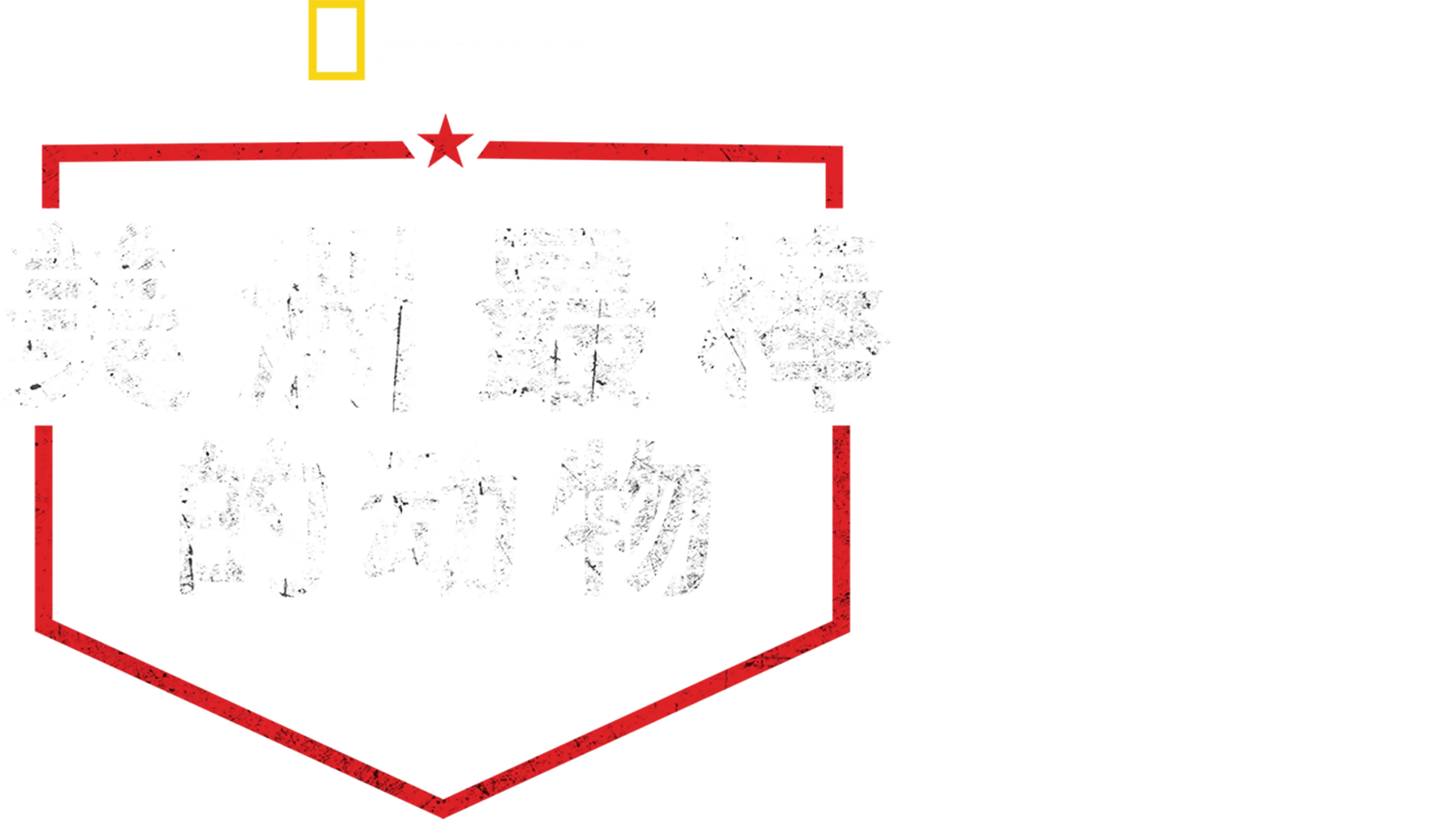 美洲最棒的动物