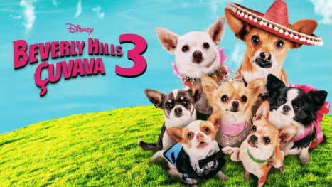 thumbnail - Beverly Hills Çuvava 3