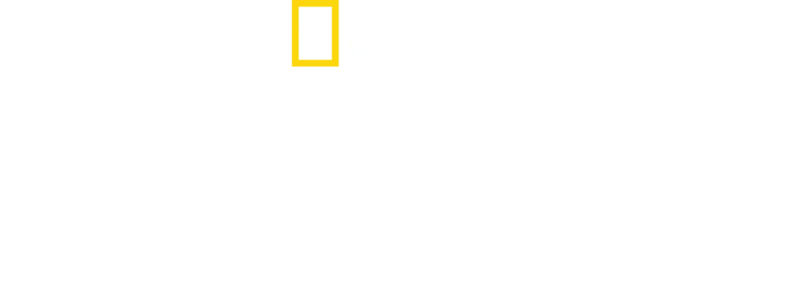 為母則強