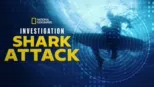 thumbnail - Investigation Shark Attack