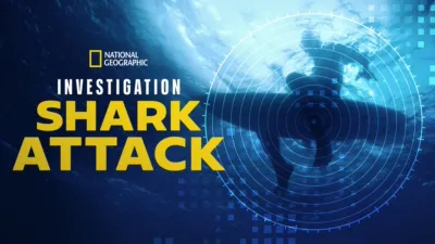 Investigation Shark Attack