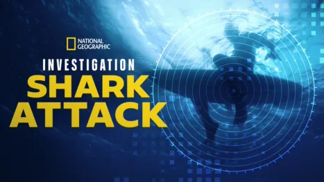 thumbnail - Investigation Shark Attack