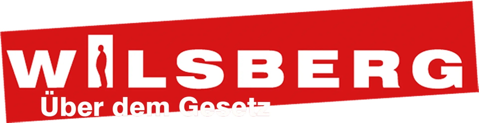 Wilsberg - Über dem Gesetz