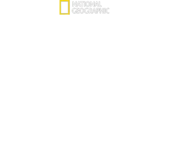 Shark vs. Surfer