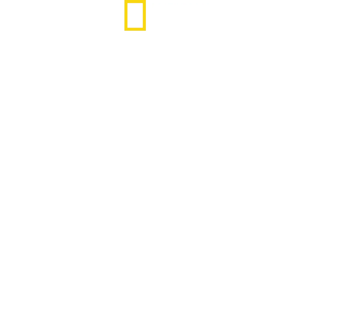 Shark vs. Surfer
