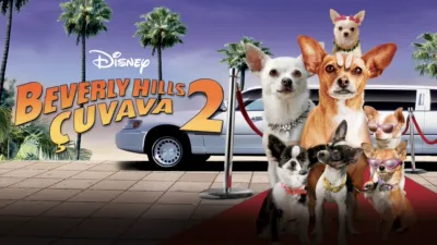Beverly Hills Çuvava 2