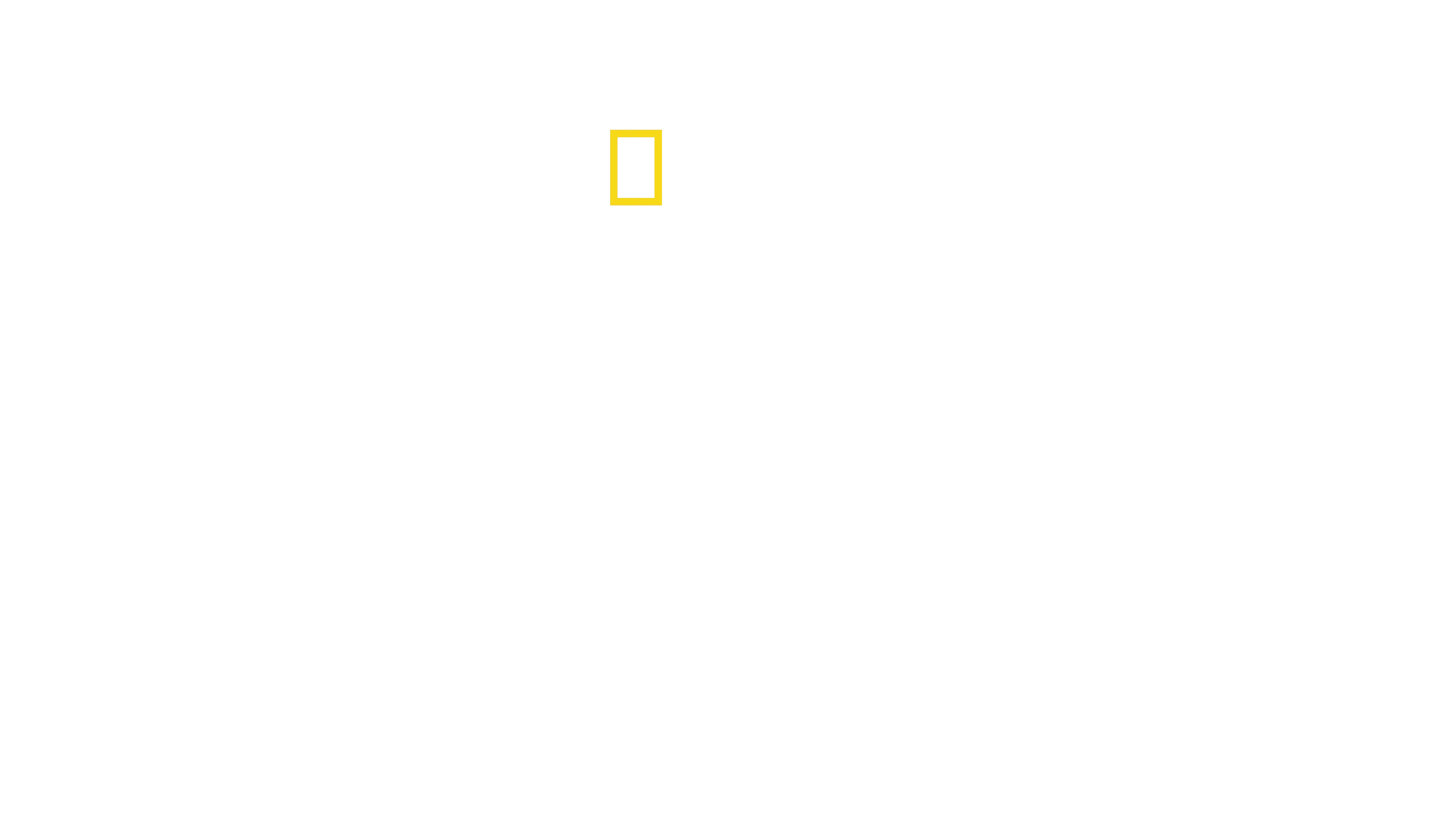 Fuglenes planet
