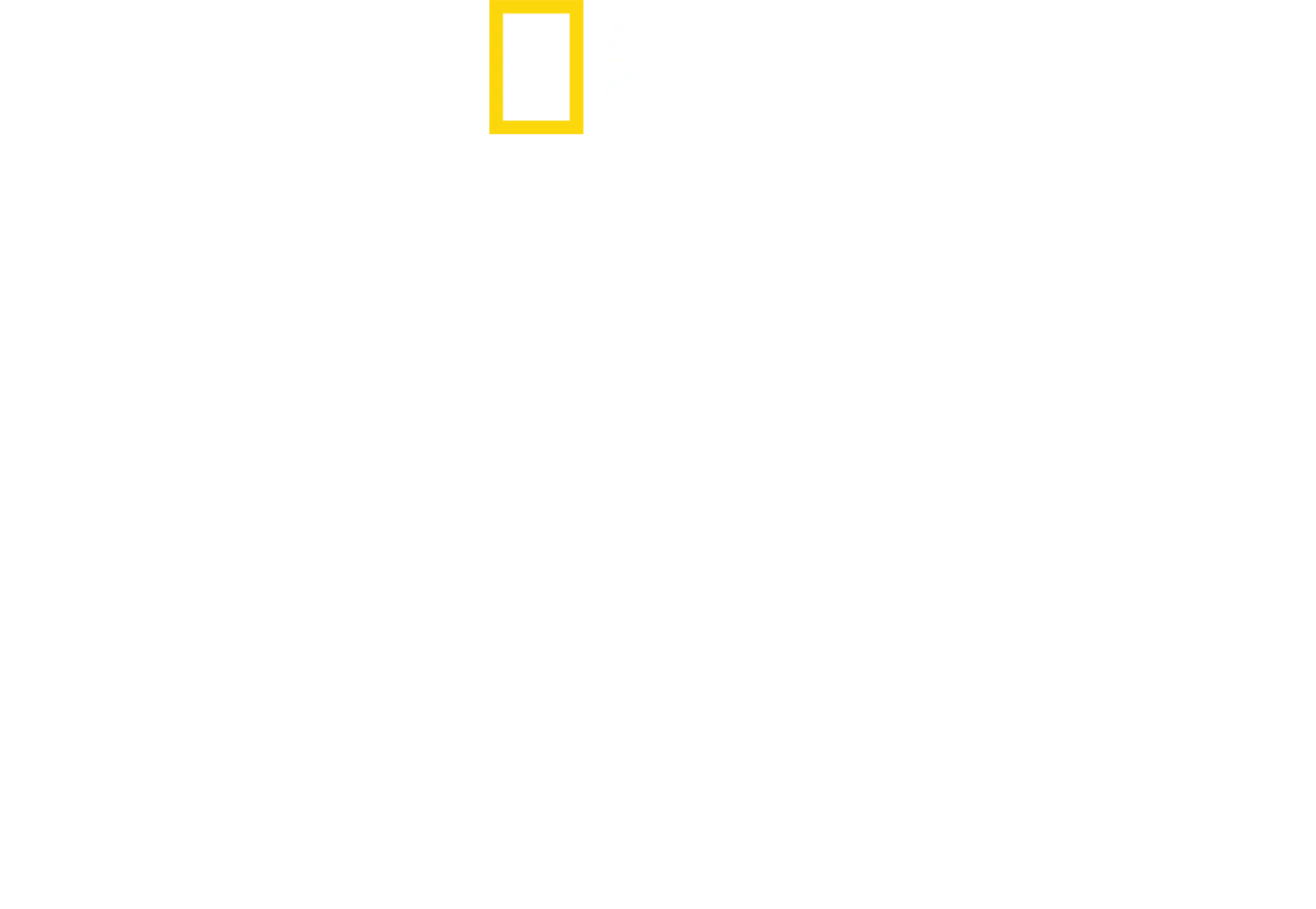 POSITIVE ENERGY