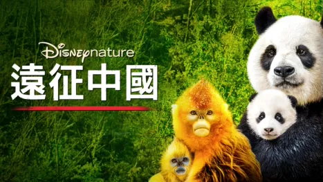 thumbnail - 遠征中國