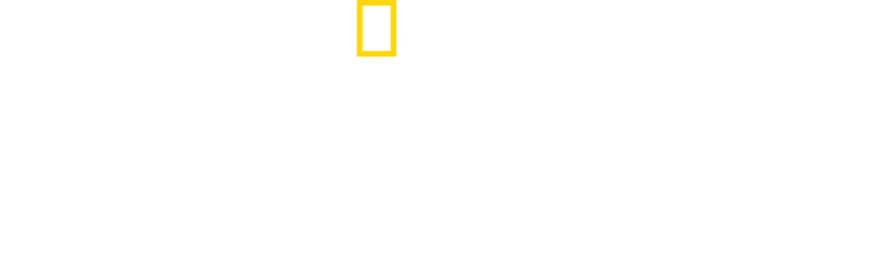 Ανταρκτική