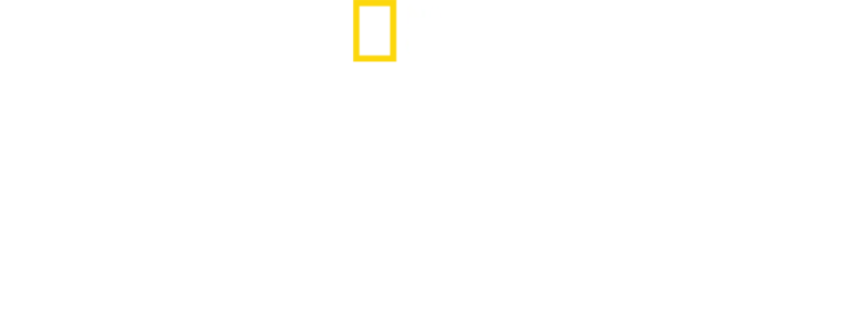 野獸王國