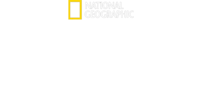 En Busca de Amelia
