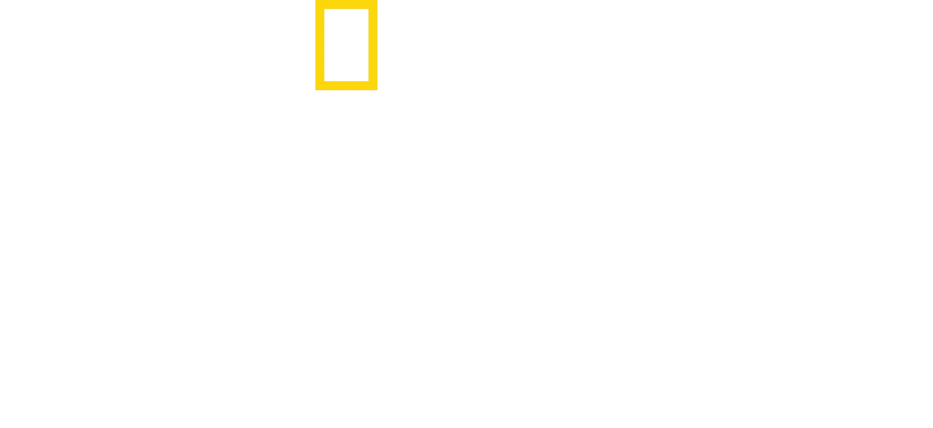 En Busca de Amelia