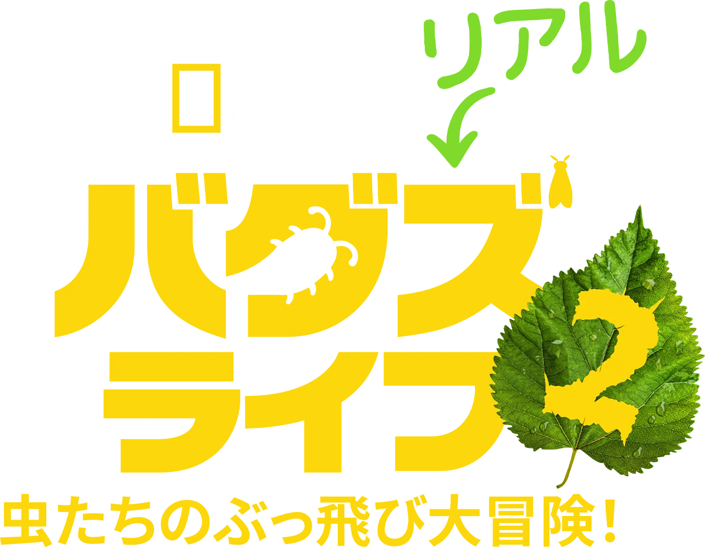 リアル・バグズ・ライフ：虫たちのぶっ飛び大冒険！