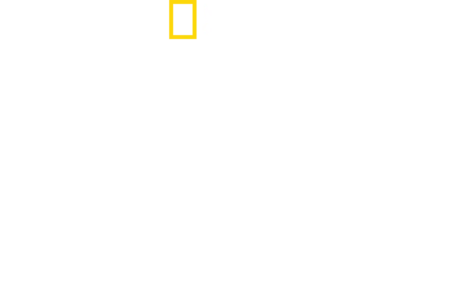 災難現場直擊