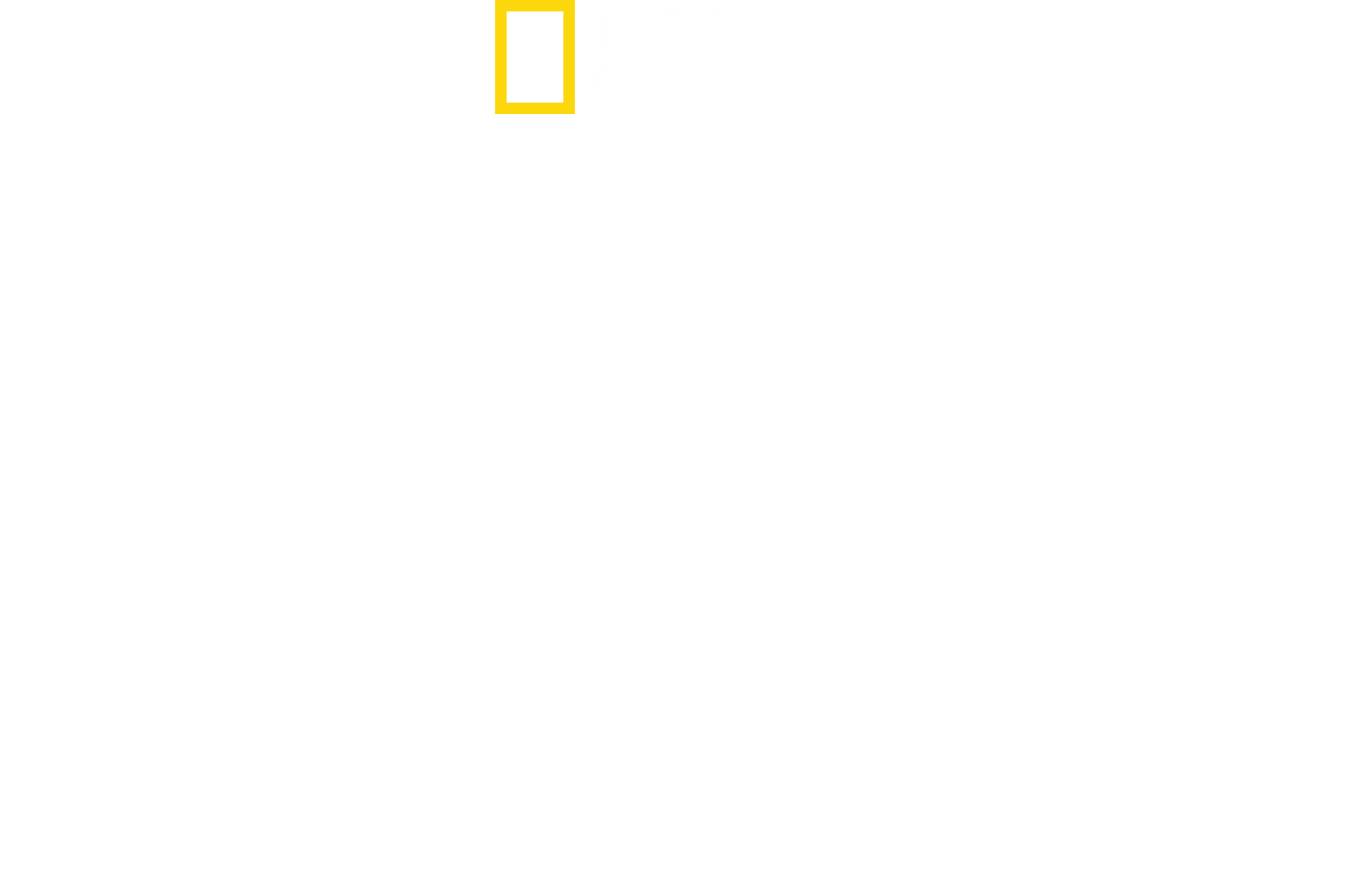 災難現場直擊