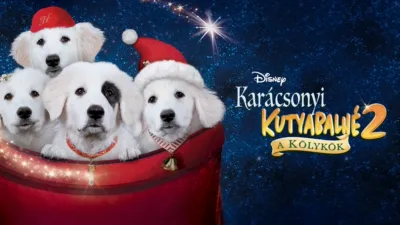 Karácsonyi kutyabalhé 2. - A kölykök